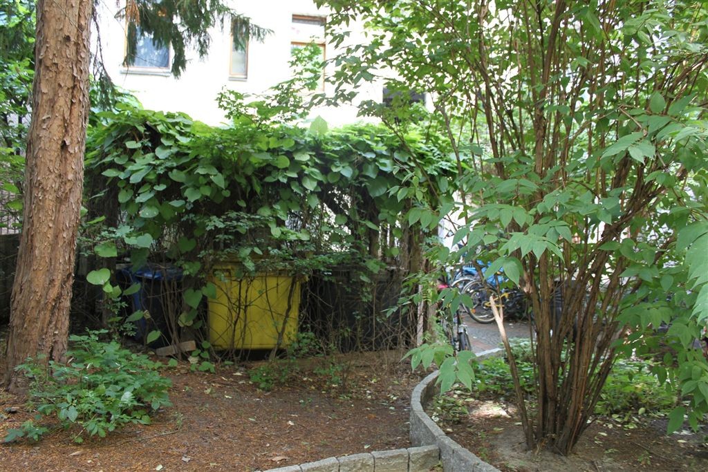 2. Hinterhofgarten, Pergola über Mülleimer  © Thorsten Haas