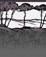 Etude infographique du décor en mosaïque