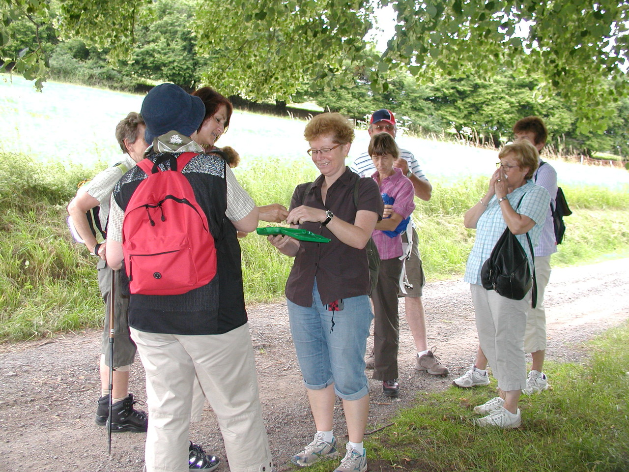 Waldmichelbach Juni 2012