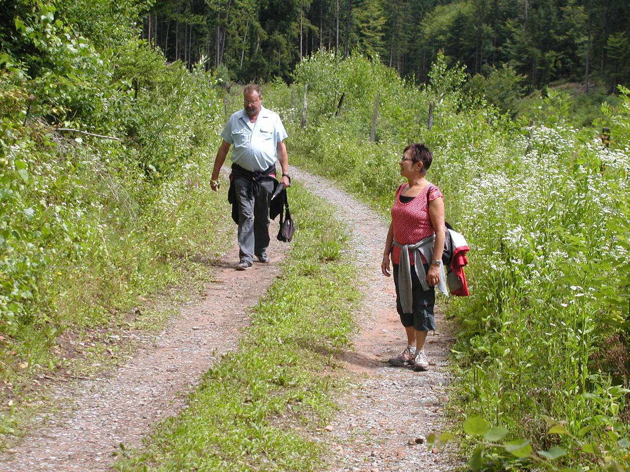 Wanderung Hohe Warte Juli 2012