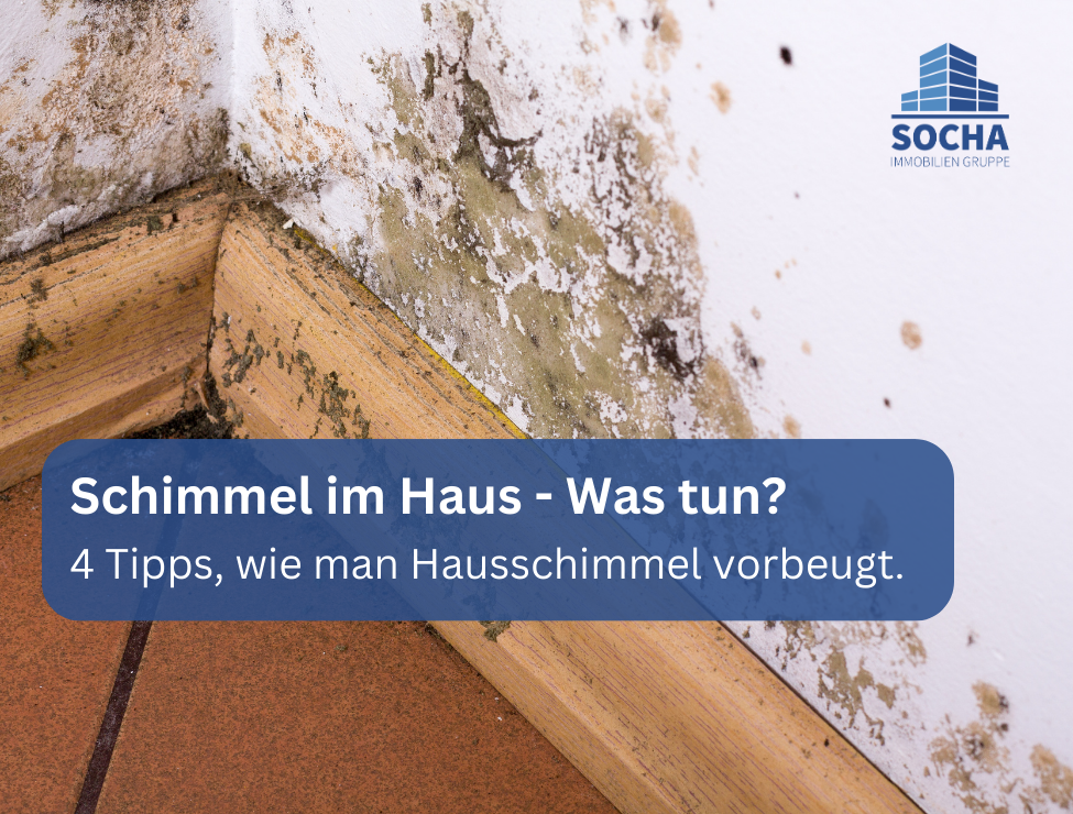 Schimmel im Haus - was tun? | 4 Tipps, wie man Hausschimmel vorbeugt.