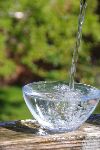 Longevity Heilwasser