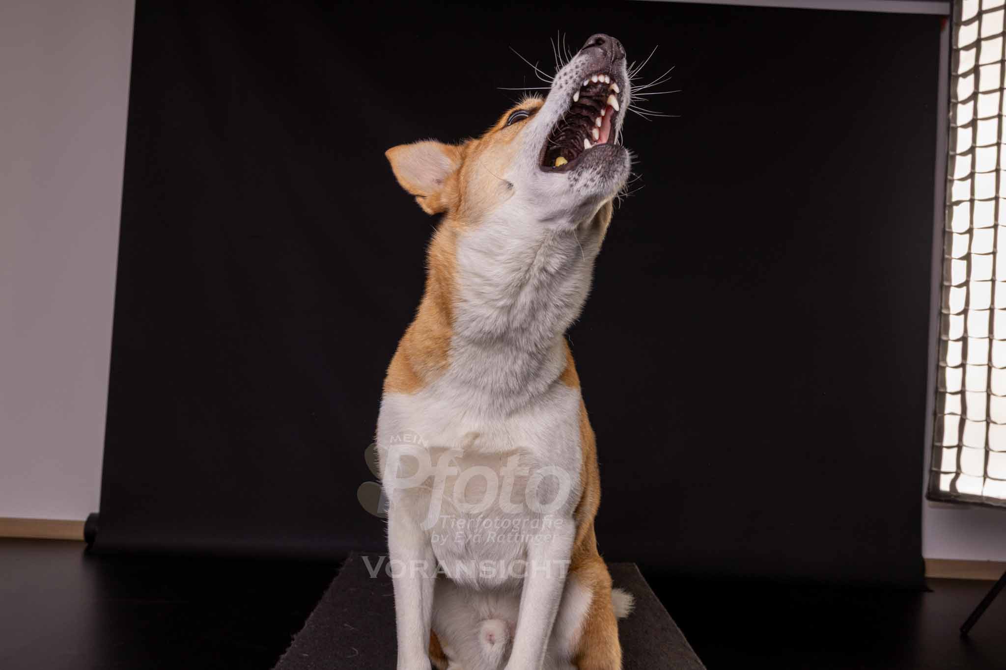 802