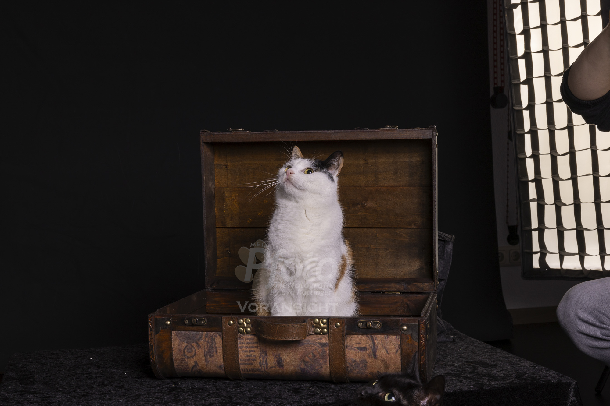 3925