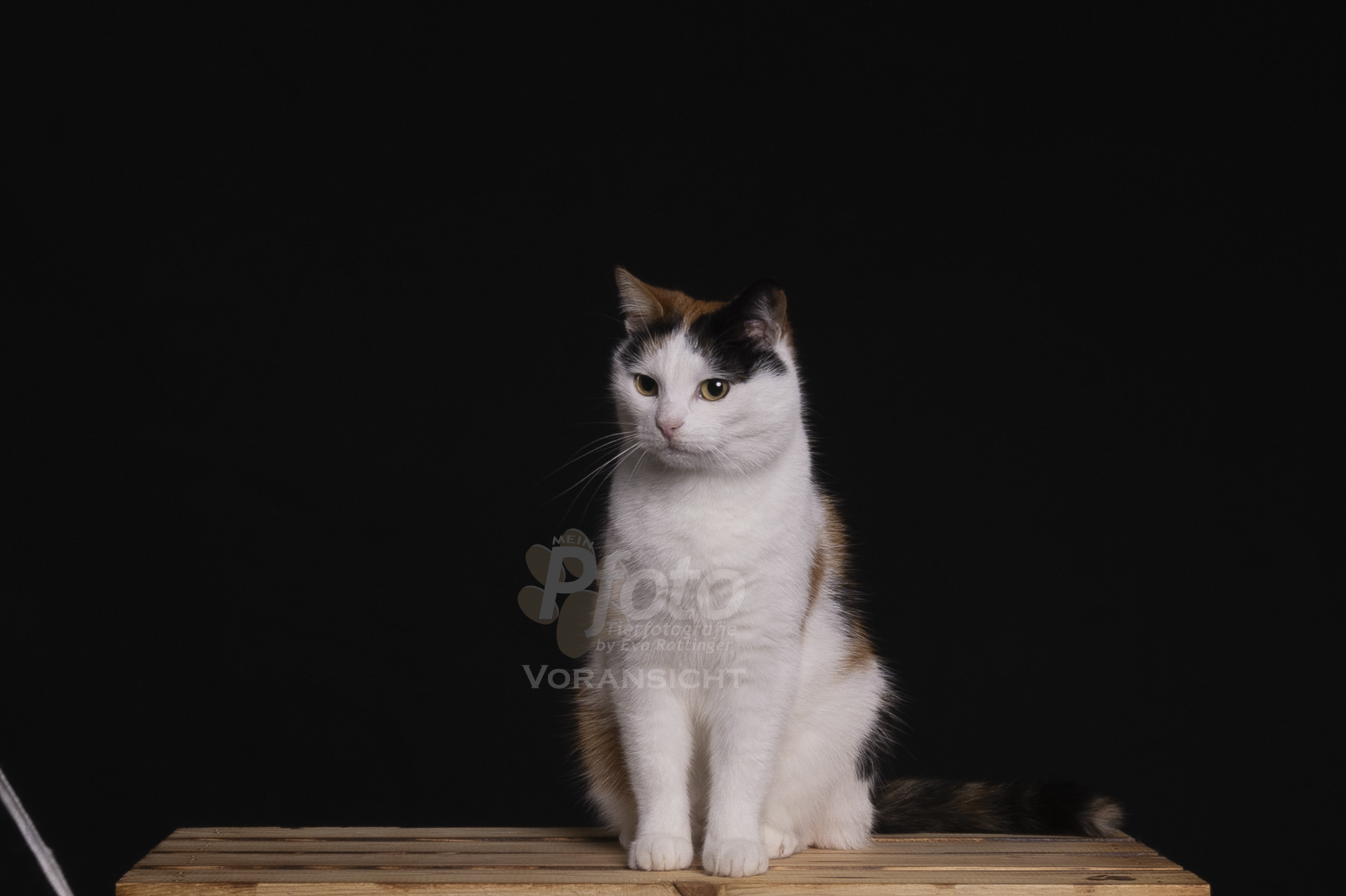 3881