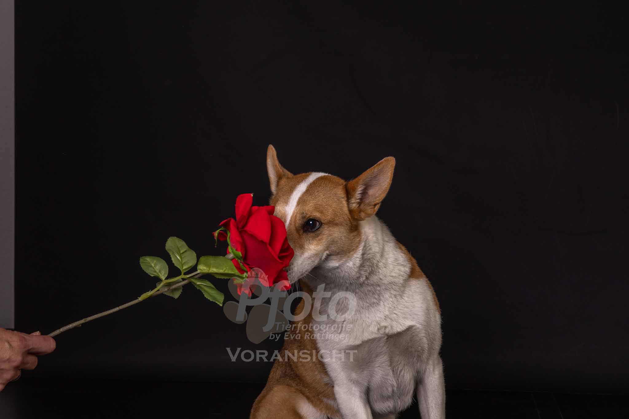 751