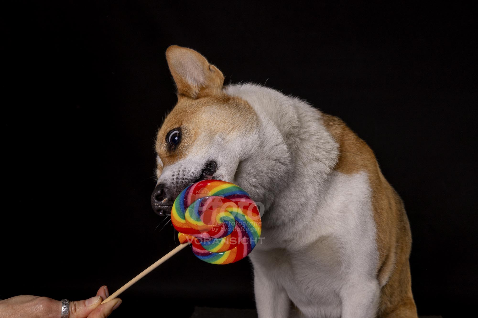 778