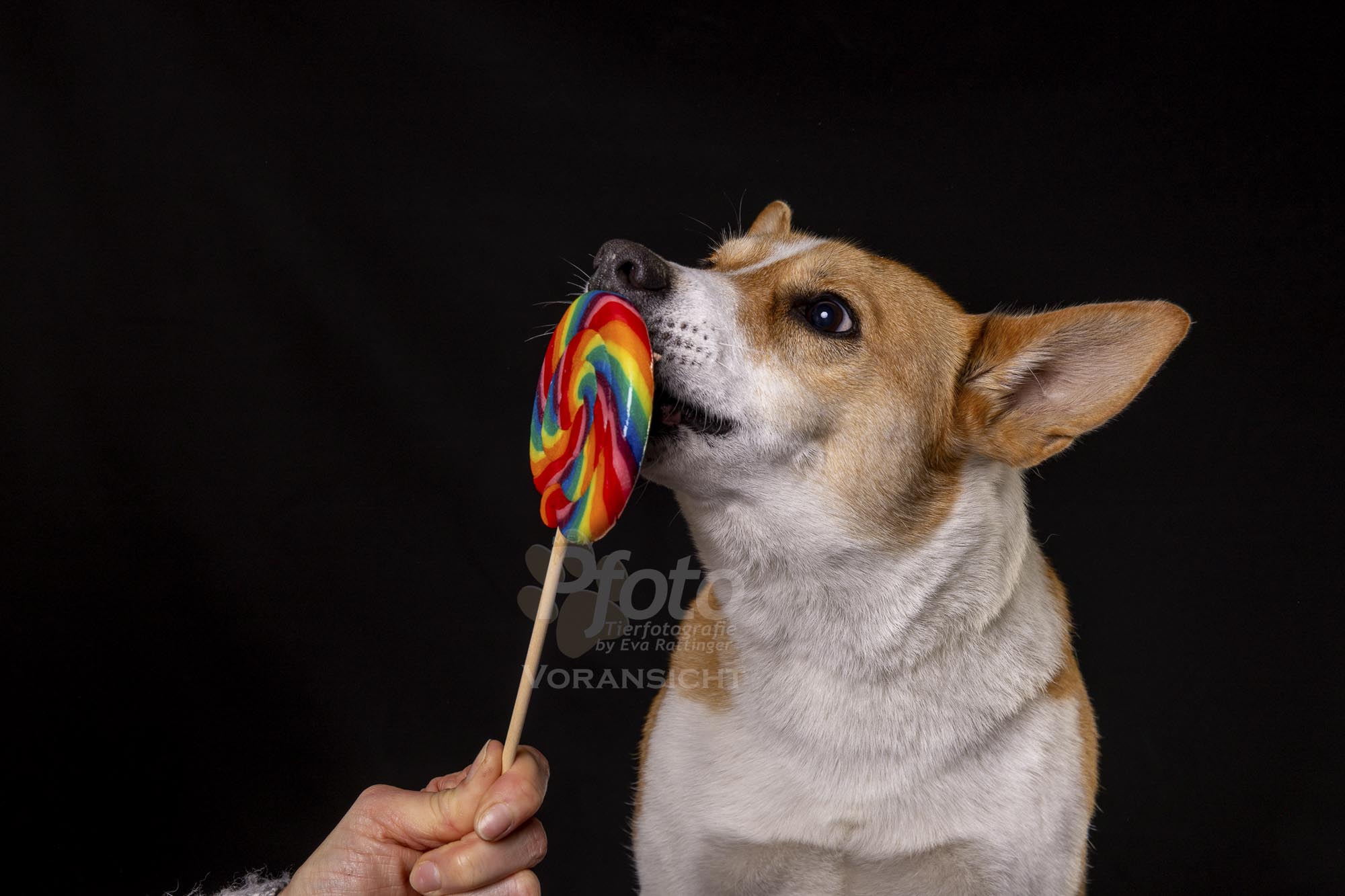 781