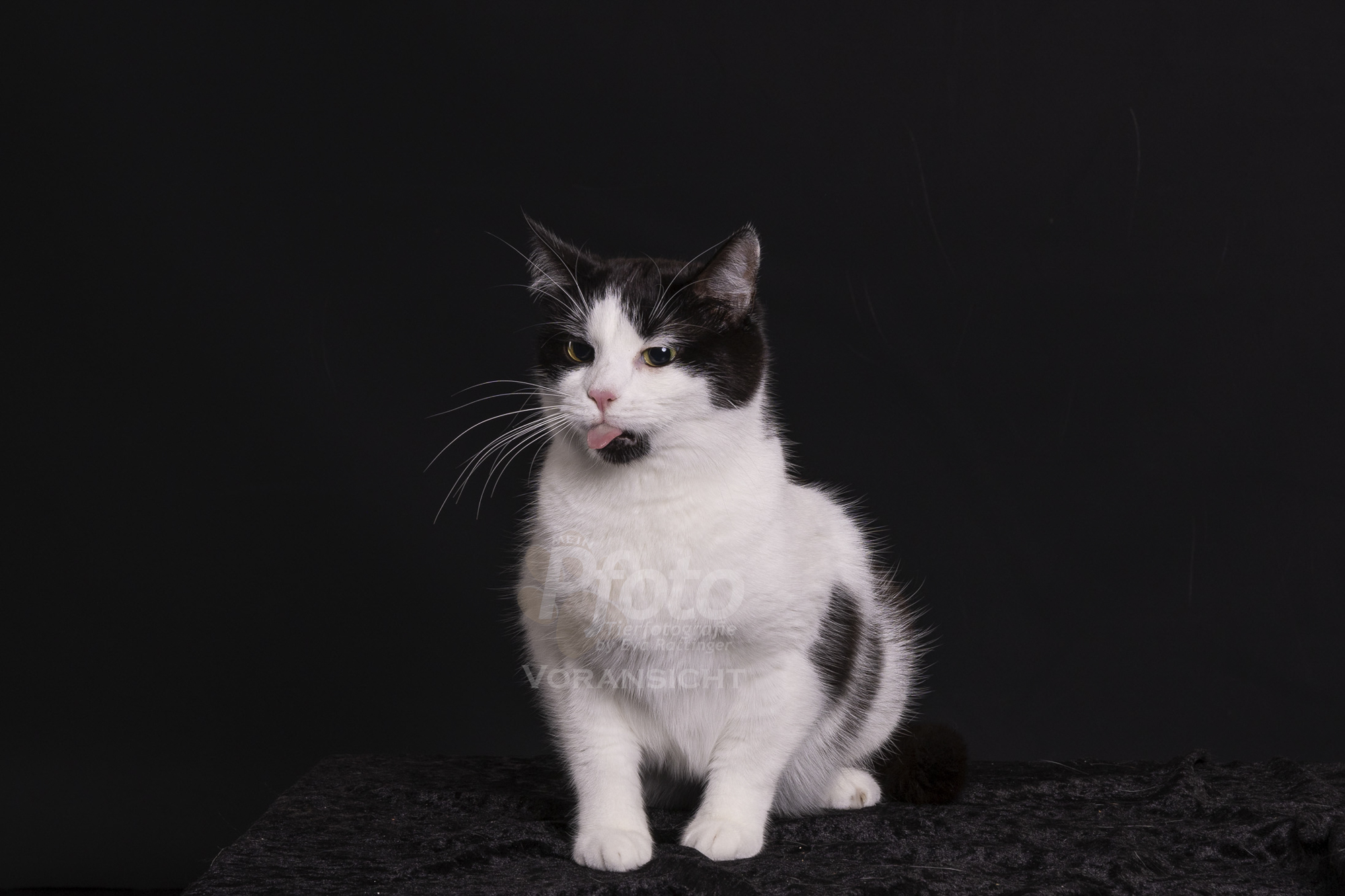 4073