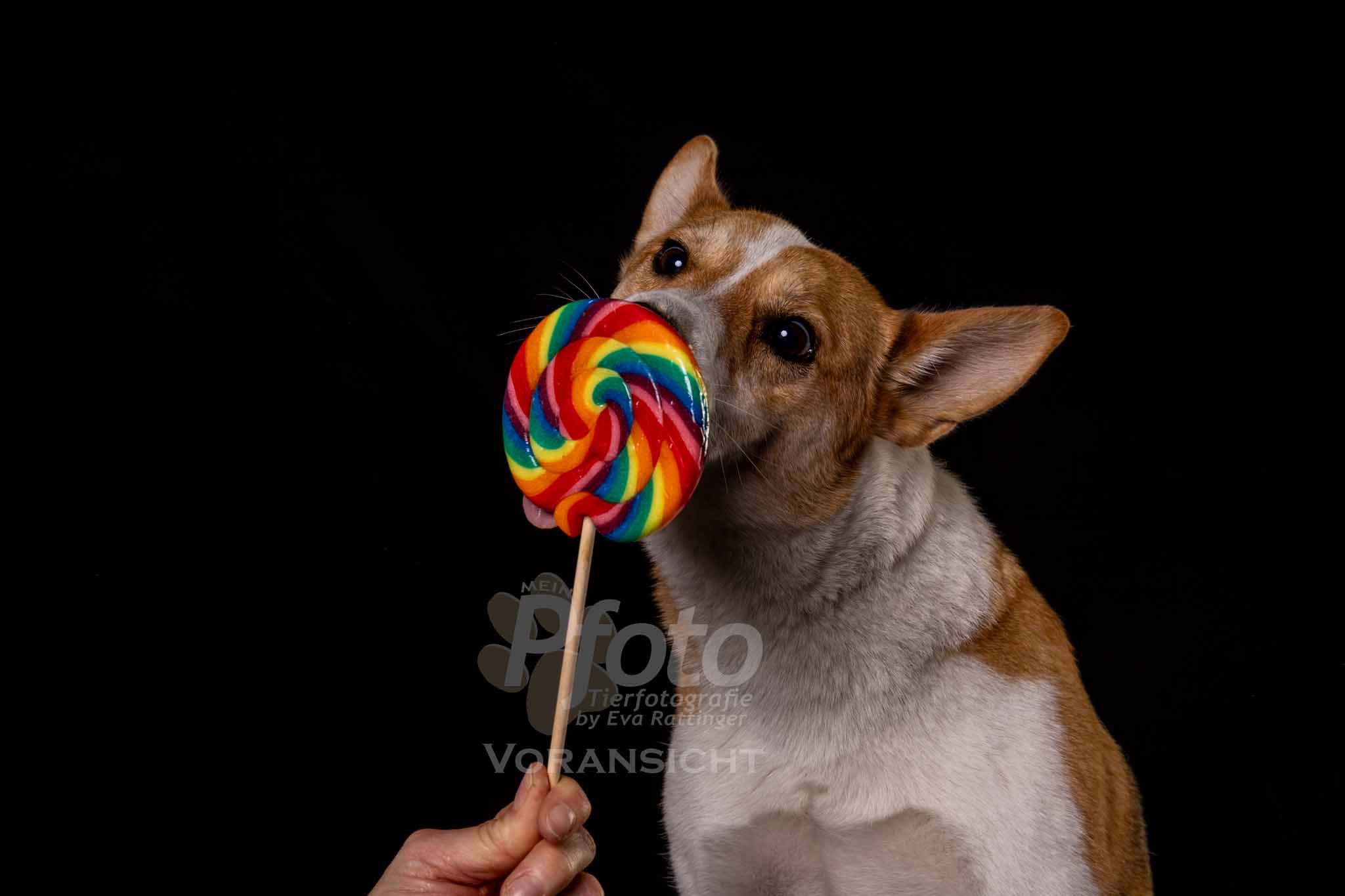 783