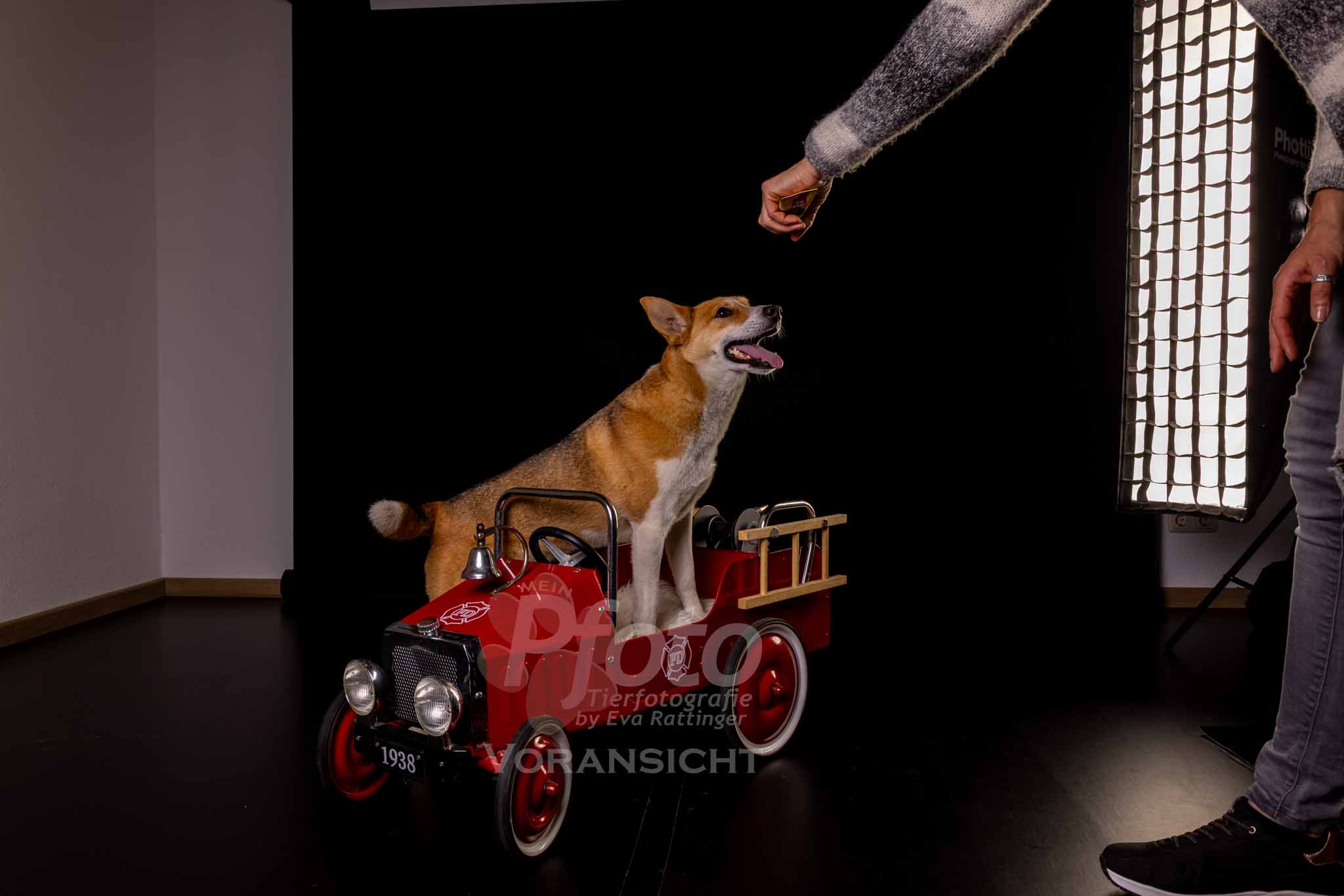 849