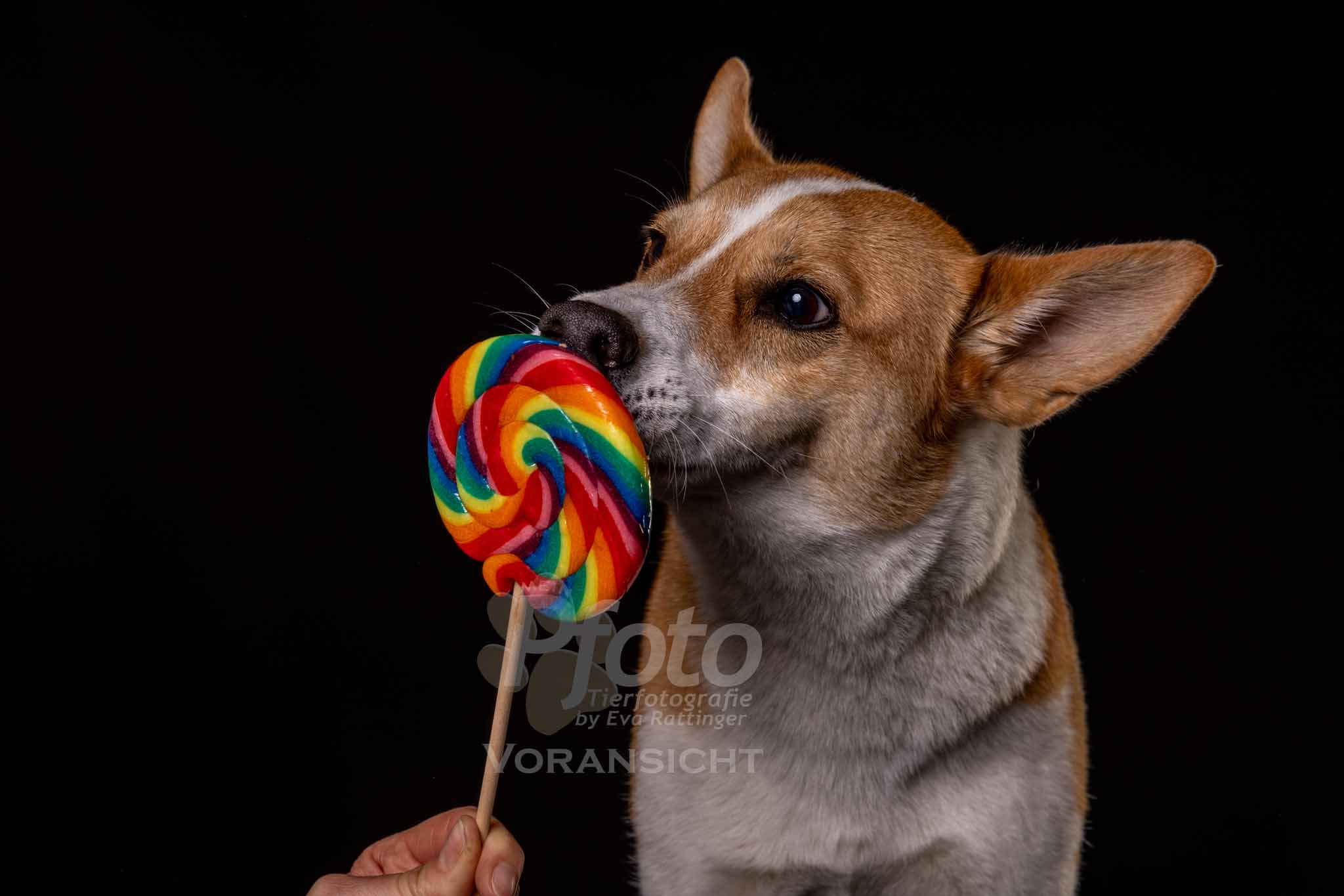 786
