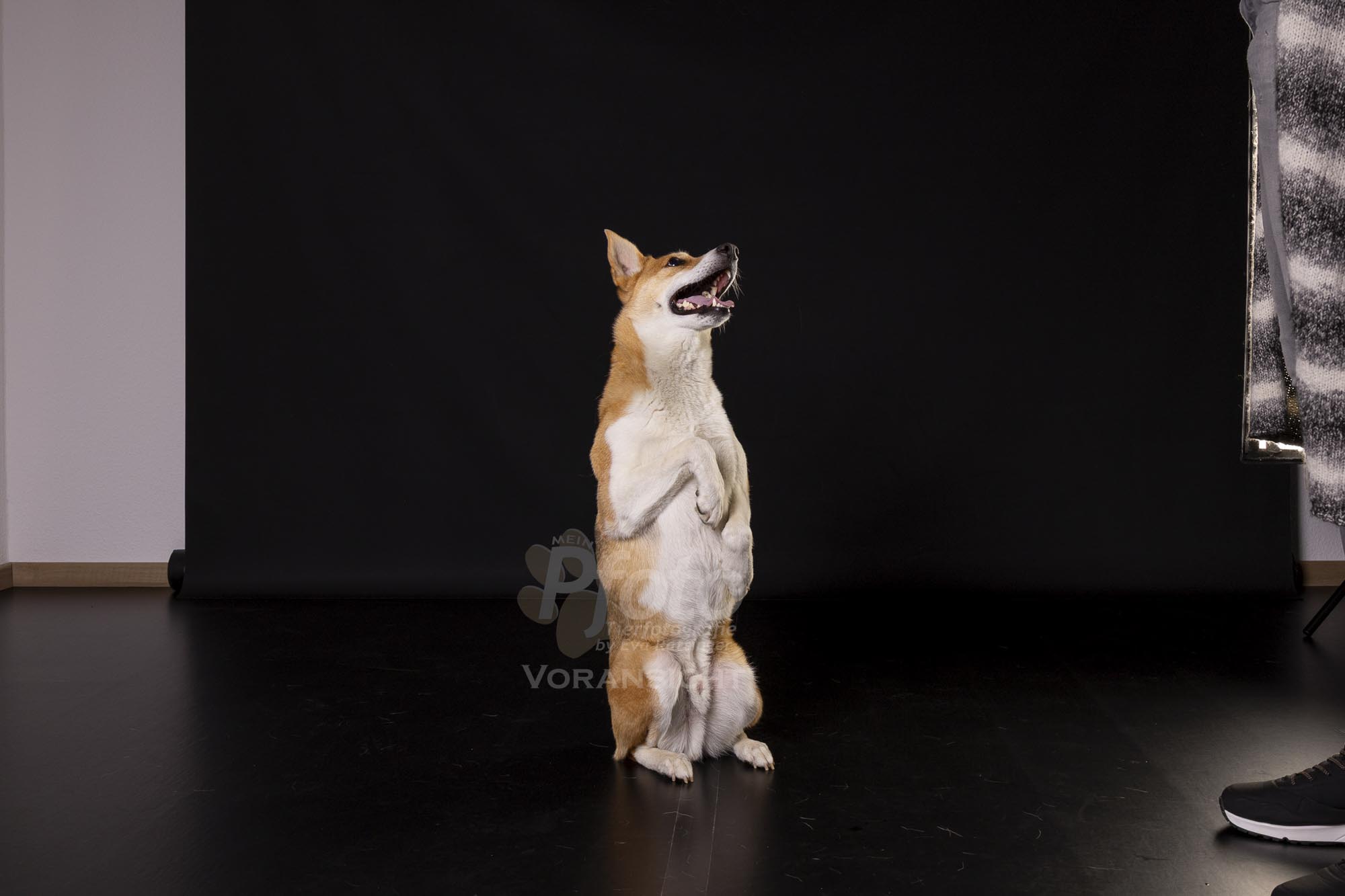 741