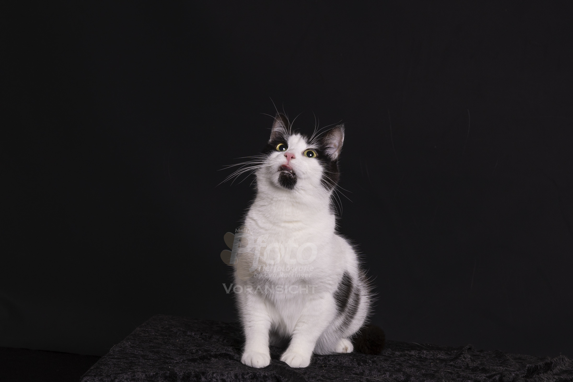 4074