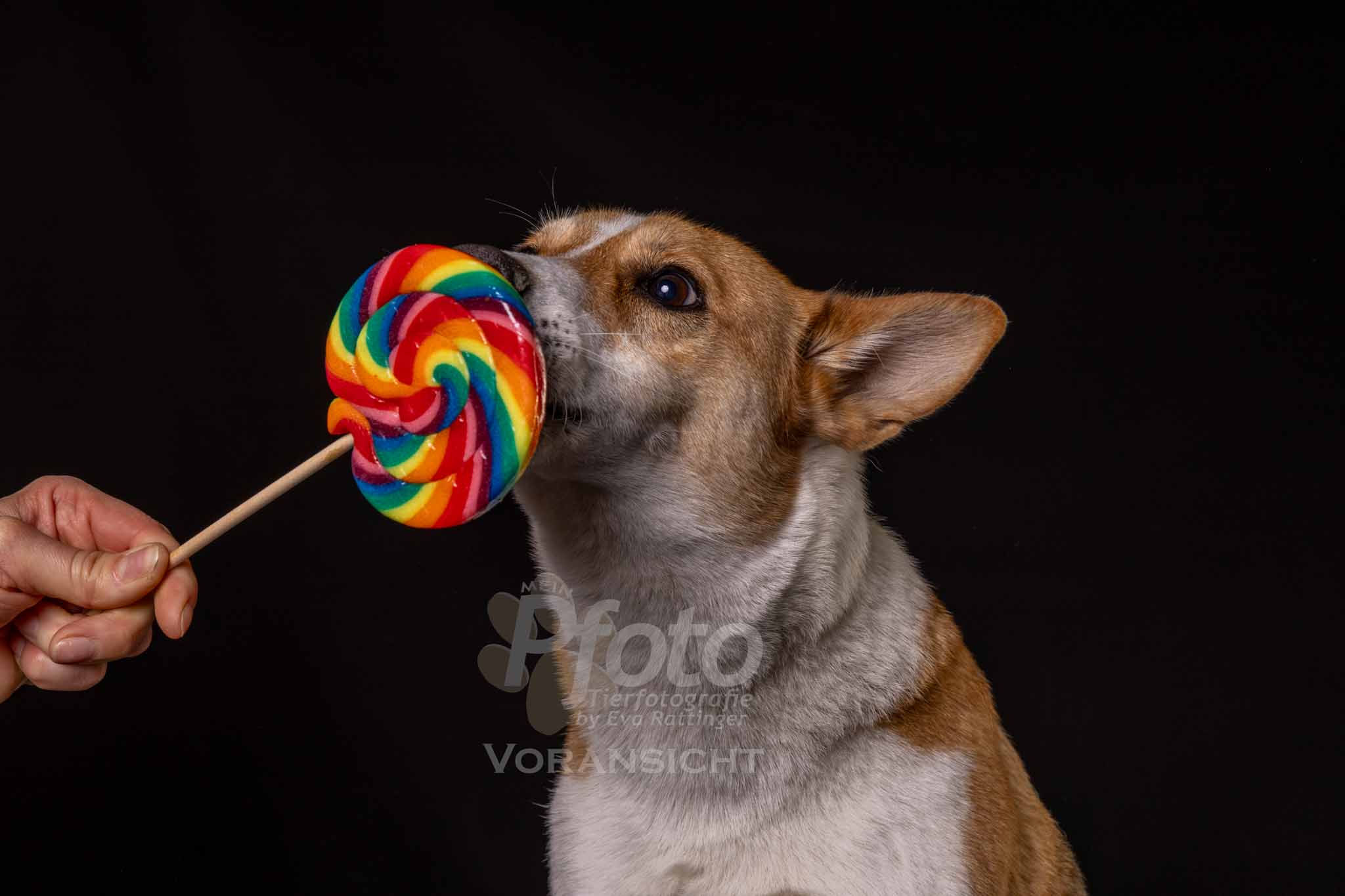 790