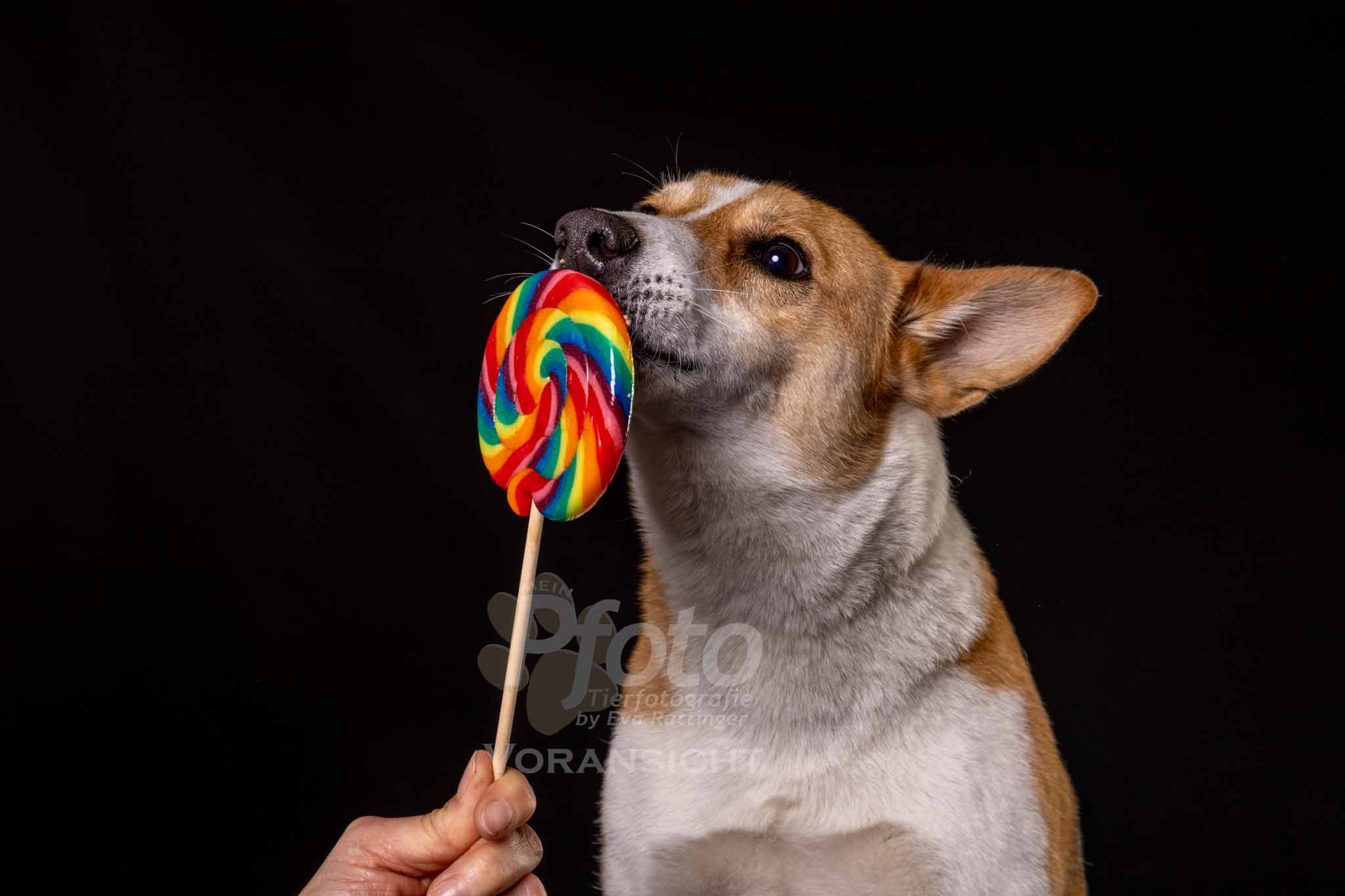784