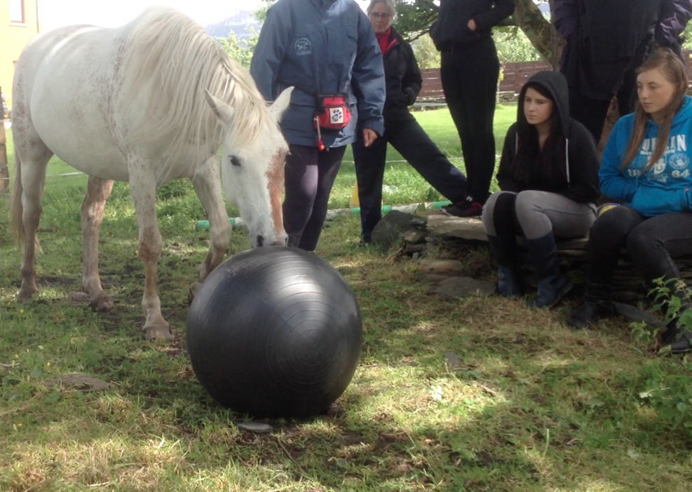 A student teaching Ruby how to push a ball in Republic of Ireland.