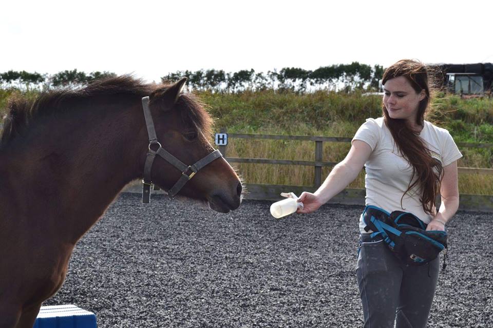 Jane from East Devon Riding School learning that fly spray are not scarry. (Photo by Millie Moore)