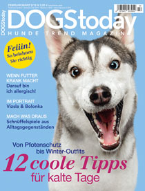 Artikel: Tierschutz am Limit. Russlands legitimierter Hundemord