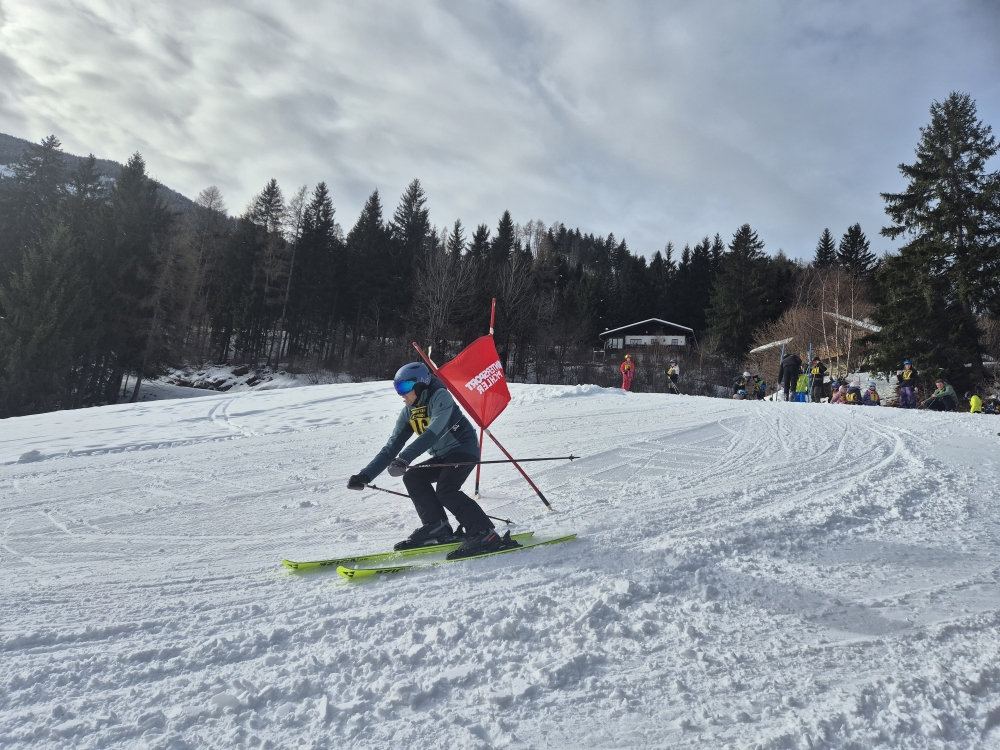 VM Ski