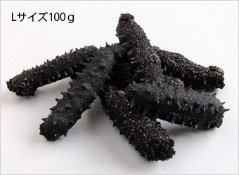 ナマコ (海参） 楽天市場】北海道産 純淡干黒海参 1KG入 LLサイズ B級品 ナマコ