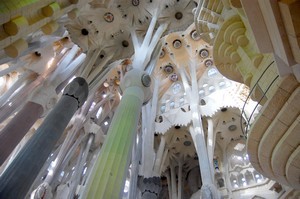 vue sur l'intérieur de la Sagrada Familia