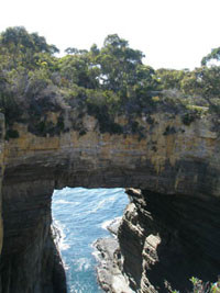 Tasmania Nature