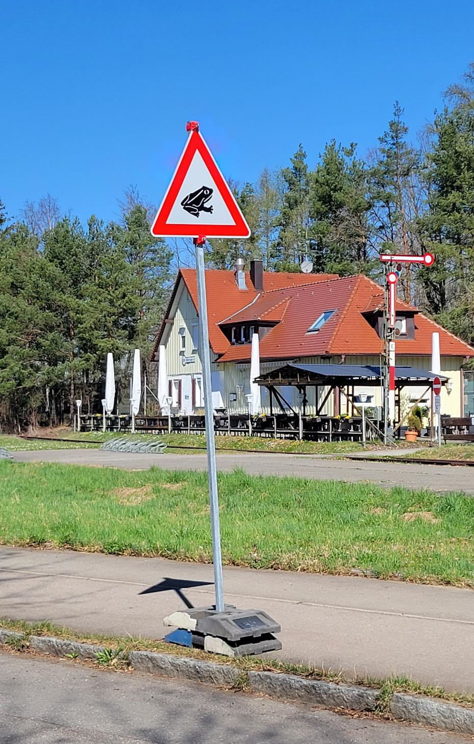 Amphibienwanderung 2025 in Böblingen