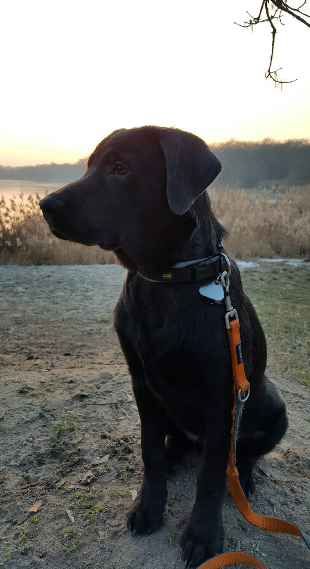 In der Morgendämmerung