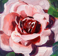 Pink Blush, Oil on masonite, 6x6", SOLD