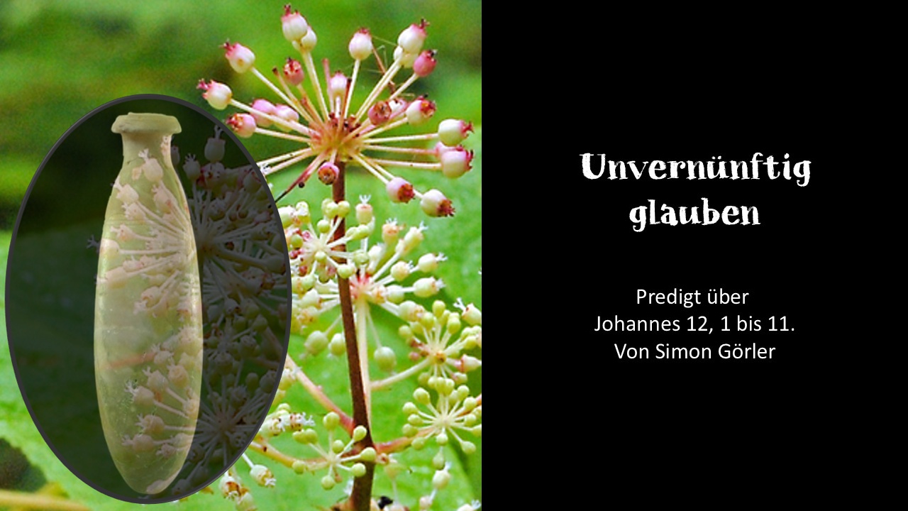 Predigt vom 31. August: Unvernünftig Glauben