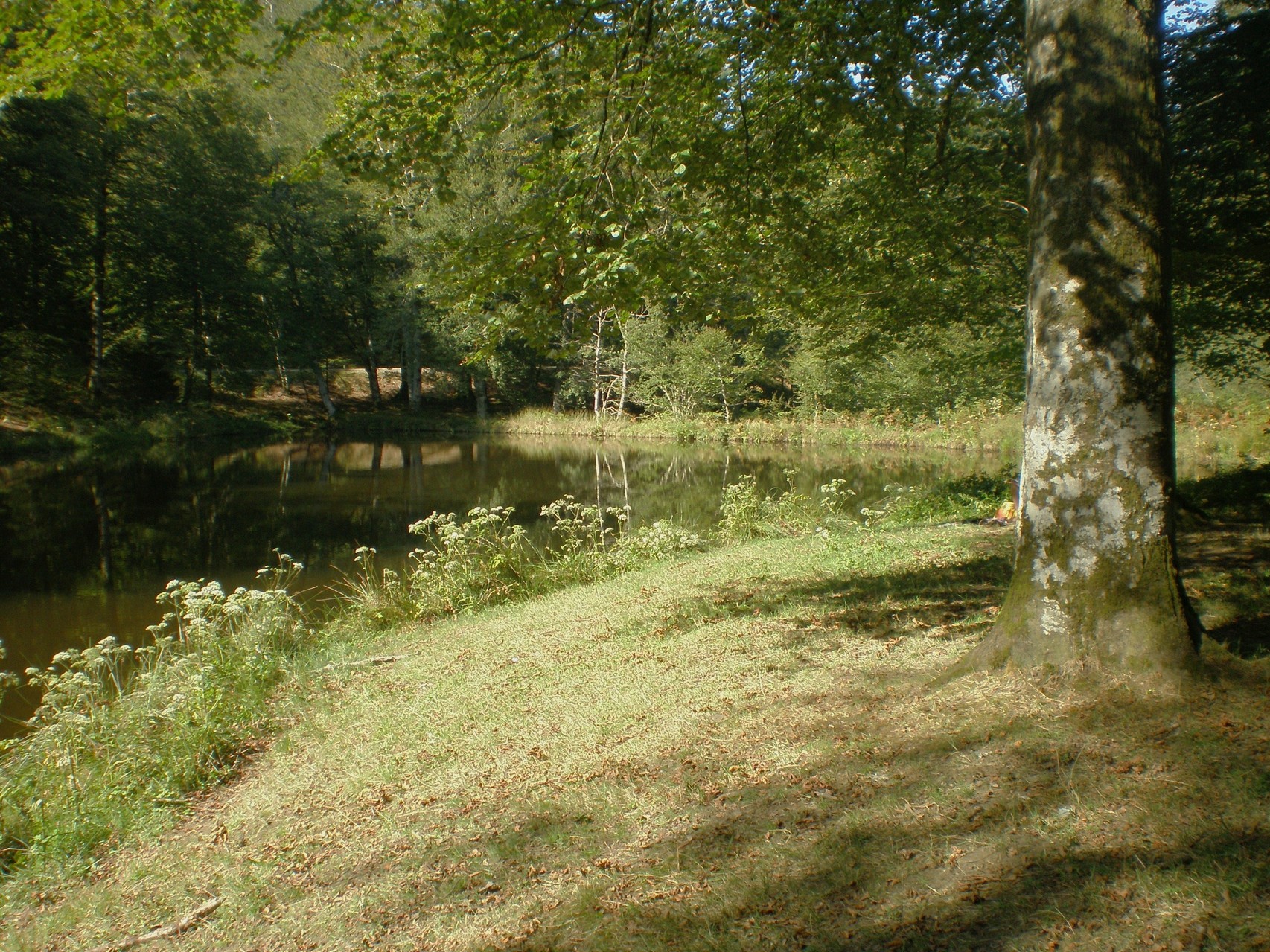 Etangs de Roudille sont les sources du mouscaillou