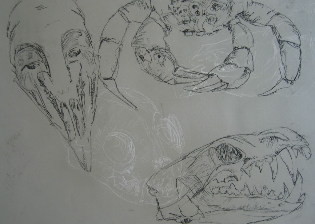 Krabben (Zeichenpapier, DIN A2) 