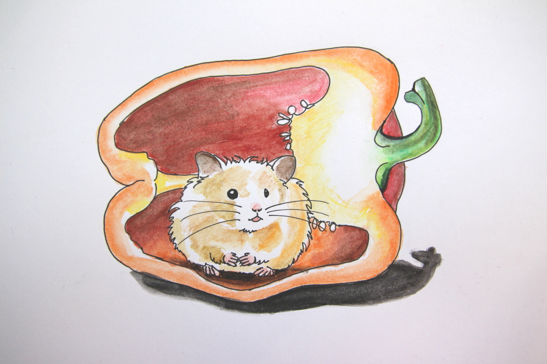 Hamster in der Paprika (Zeichenpapier, 10x13cm)