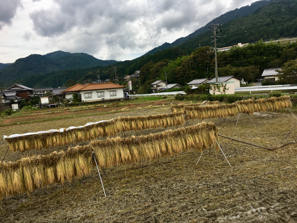 最新情報 - 日本で唯一の原産地。美濃白川麦飯石株式会社 最新情報 - 日本で唯一の原産地。美濃白川麦飯石株式会社