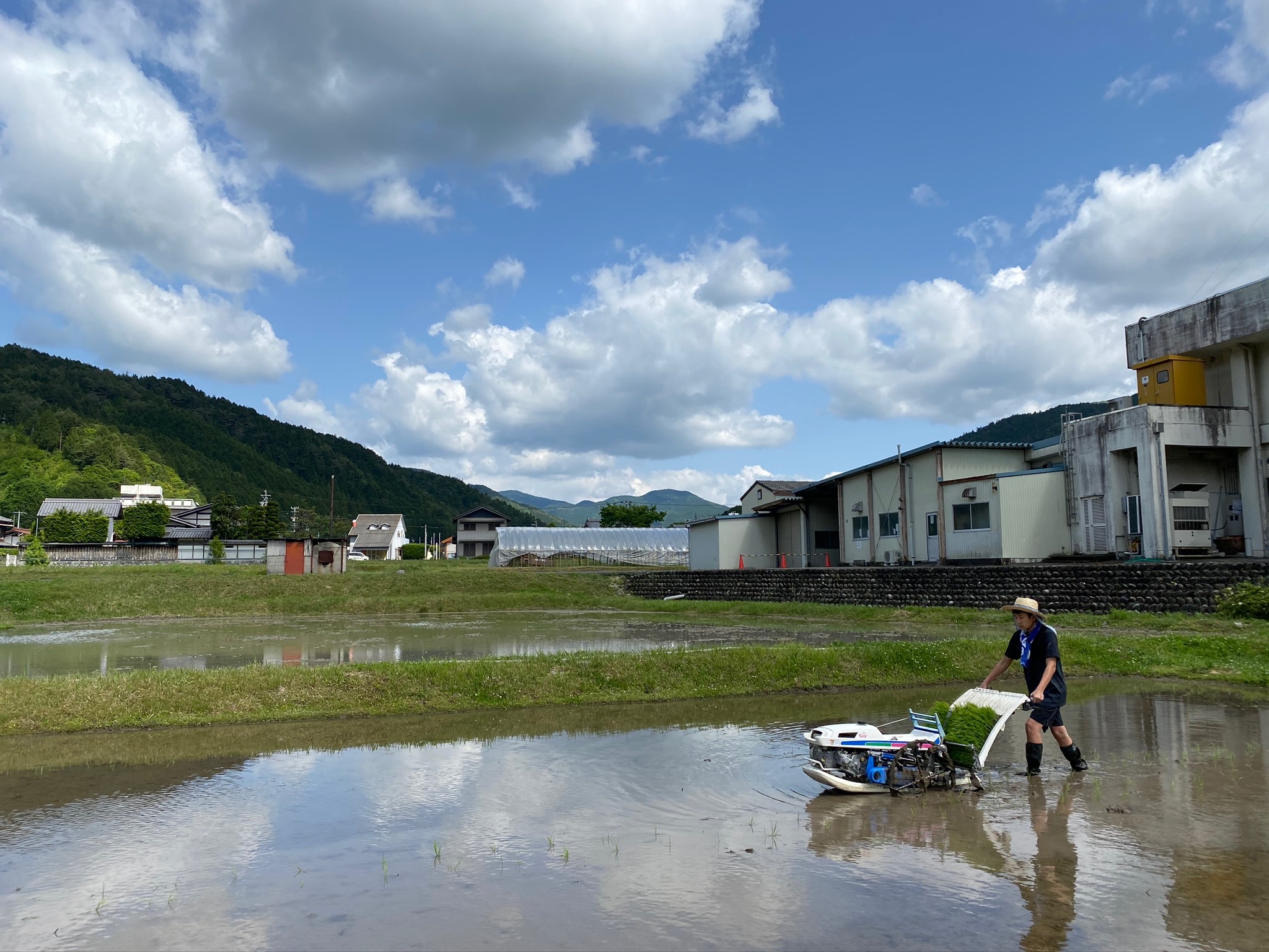 最新情報 - 日本で唯一の原産地。美濃白川麦飯石株式会社 最新情報 - 日本で唯一の原産地。美濃白川麦飯石株式会社