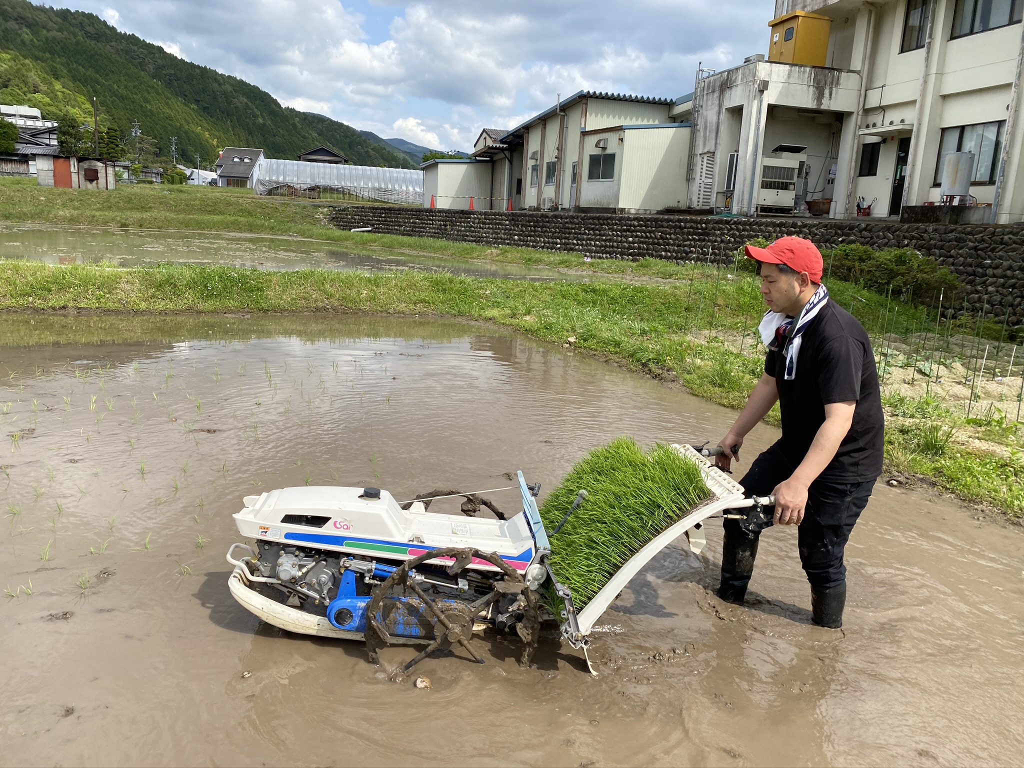 最新情報 - 日本で唯一の原産地。美濃白川麦飯石株式会社 最新情報 - 日本で唯一の原産地。美濃白川麦飯石株式会社