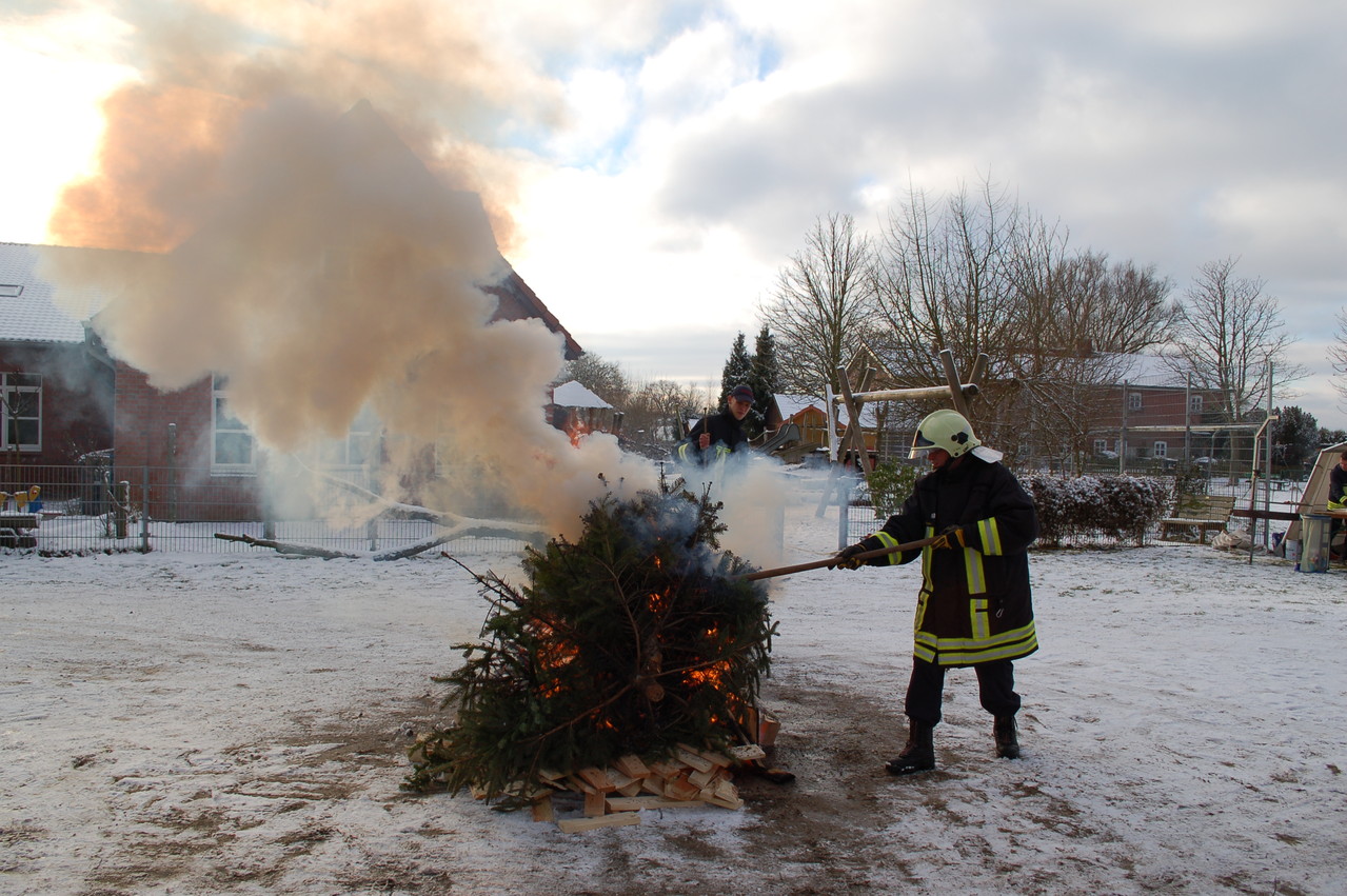 Knut auf dem Brink, 12.01.2013