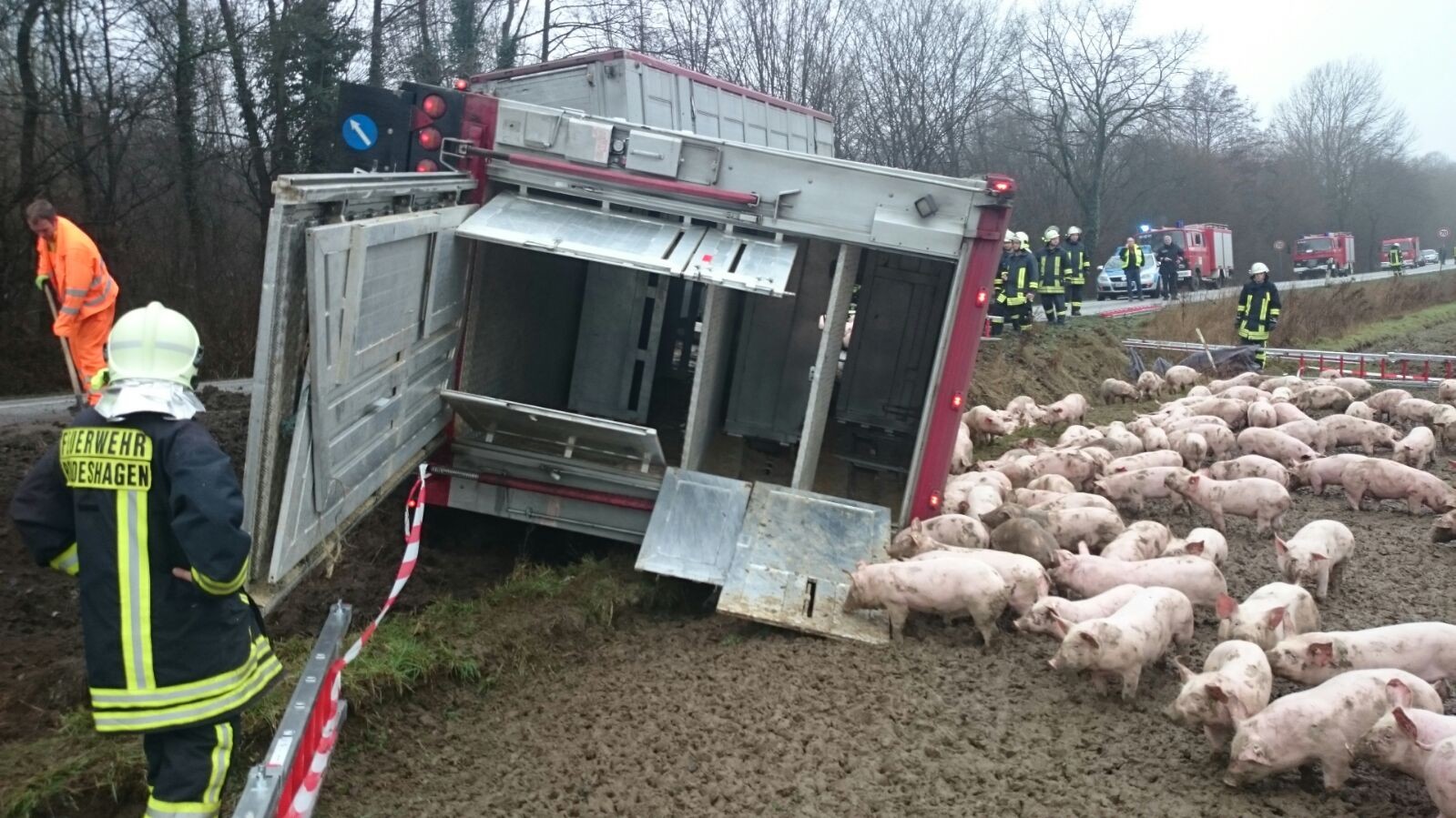 Technische Hilfeleistung bei Siebenbäumen, 25.01.2016