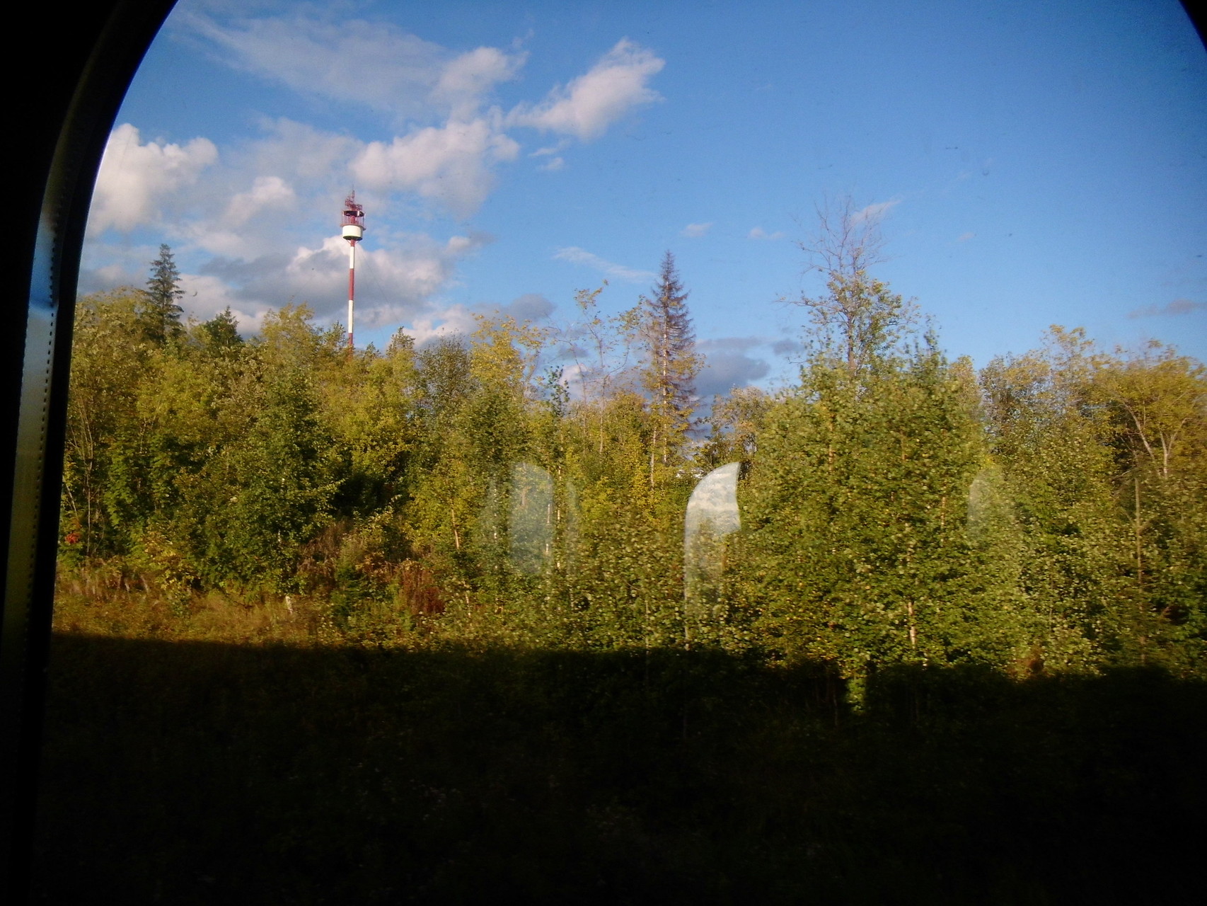 Aus dem Zug fotografiert. Am ersten Tag gab es viele Wälder zu sehen.