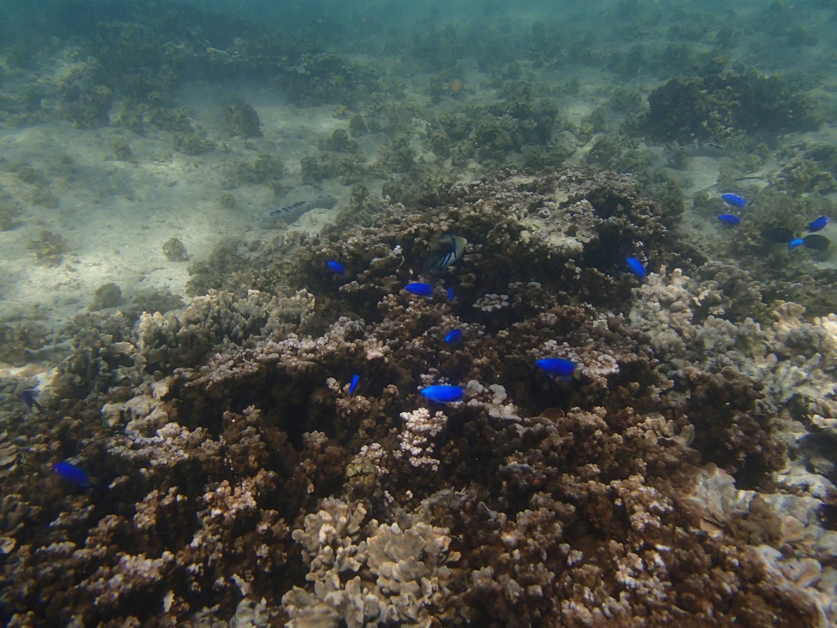 Impressionen vom Ningaloo Reef