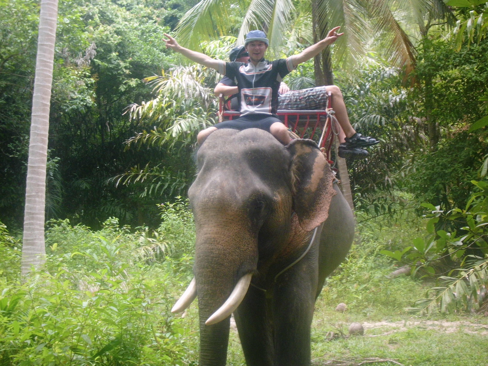 Elefantenreiten im inneren Inseldschungel