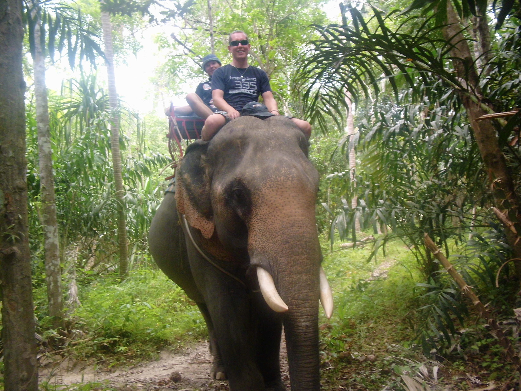 Elefantenreiten im inneren Inseldschungel