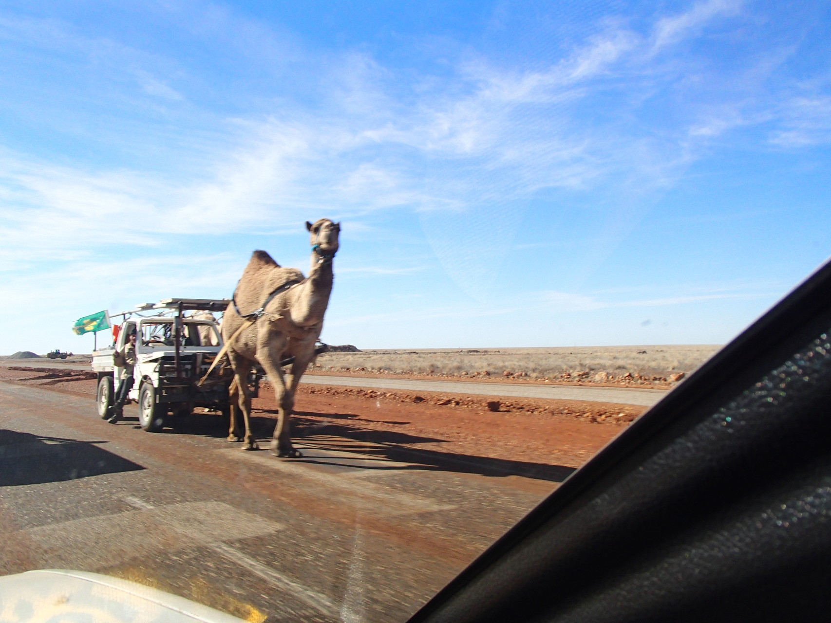 Mit einem Kamel auf Weltreise - auch nicht schlecht!
