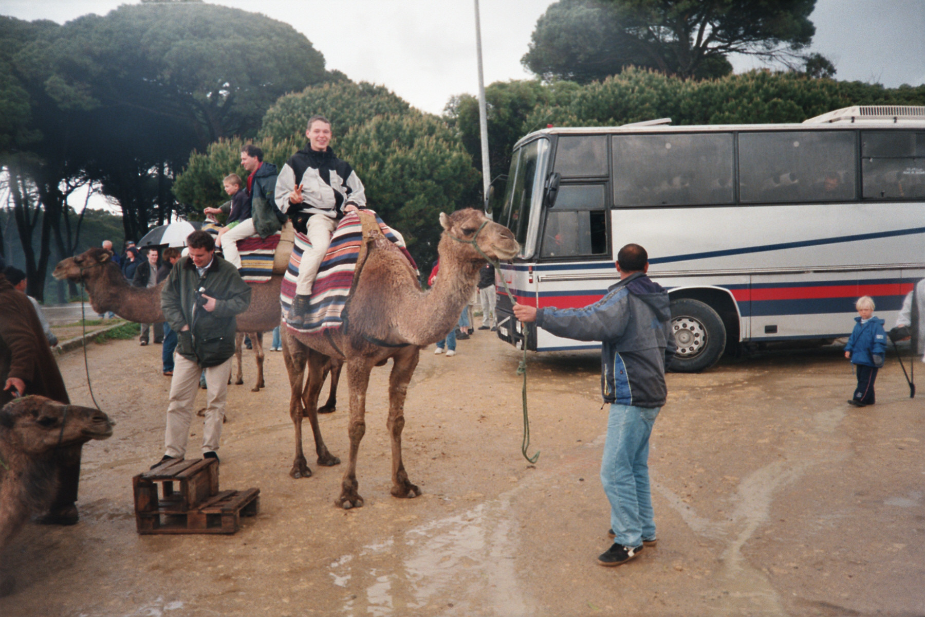 Kamelreiten in den Außenbezirken von Tanger, Marokko