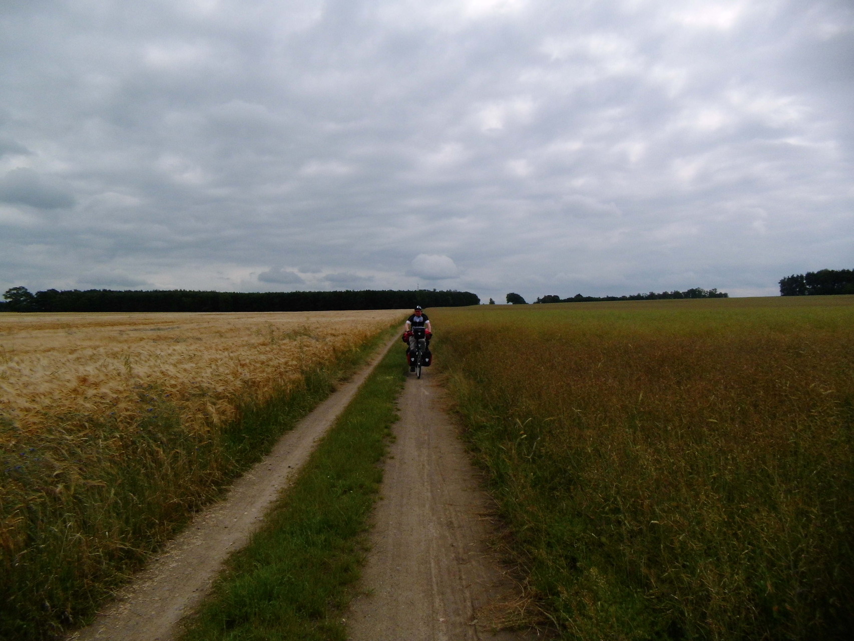 Von Wittenberg nach Potsdam - Eine Augenweide zum Fahrradfahren