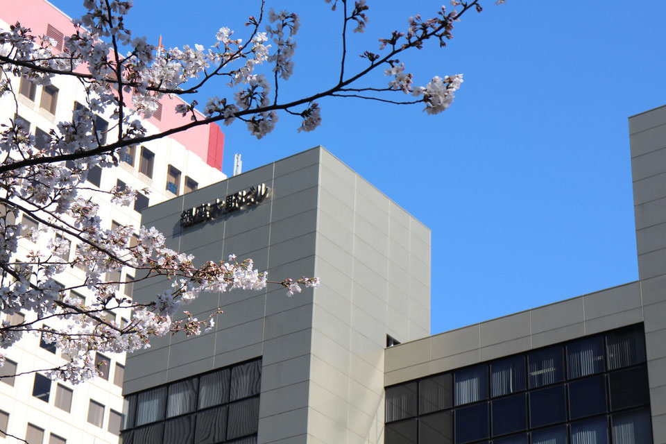 春の銀座大野ビル