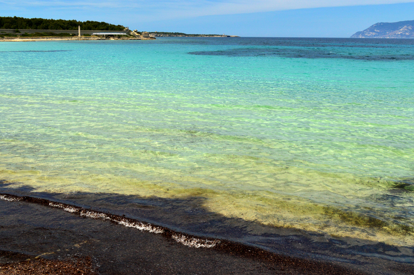 Isola Pianosa