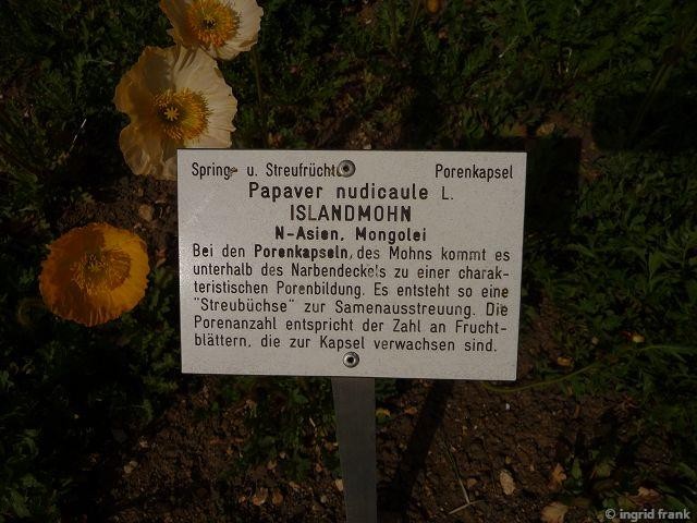 27.04.2015 - Botanischer Garten Ulm