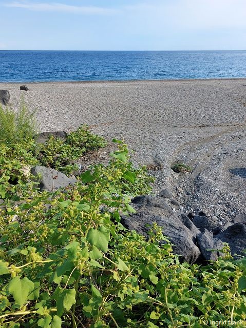 30.09.2025 - Sizilien, Giardini Naxos, Strand